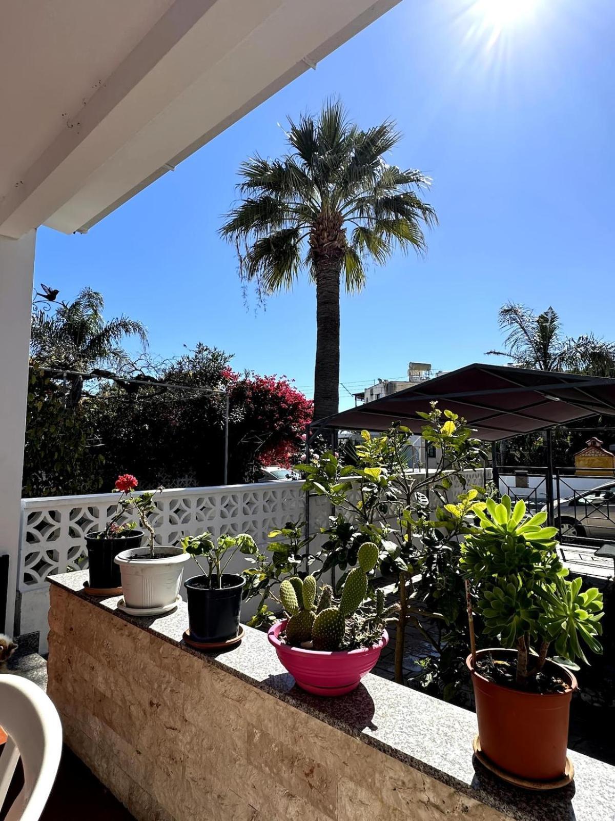 Seaside Serenity Villa Larnaca Bagian luar foto